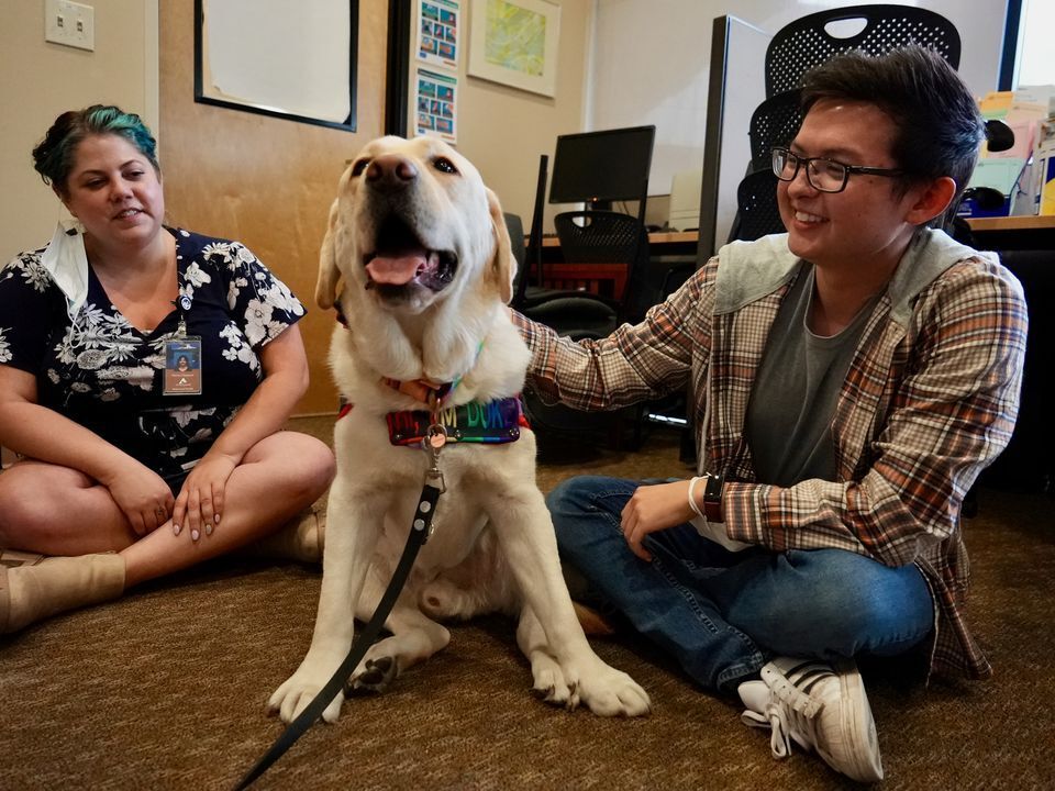 US-NEWS-WOULDBE-SHOW-DOG-FINDS-HIS-7-PO.jpg